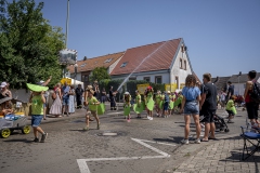 DSC5341