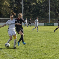 DSC9664