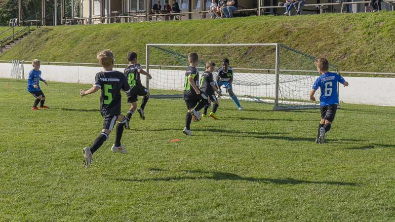 20240921-_DSC1709
