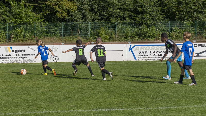 20240921-_DSC1768