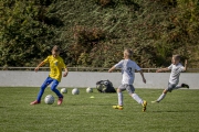 20240921-_MG_0648