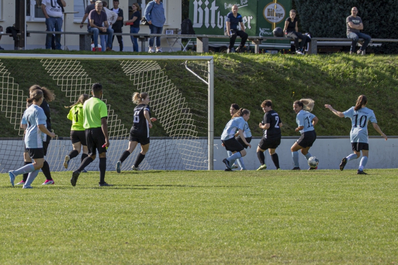 MG_6431